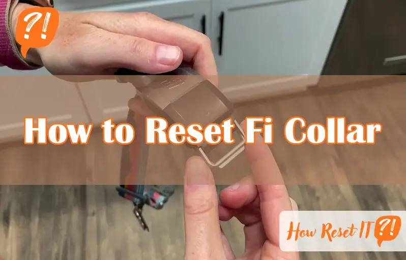How to Reset Fi Collar