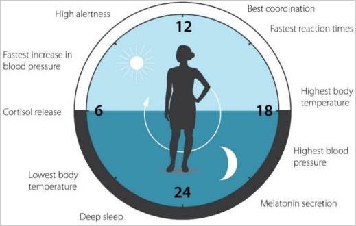 A person stands on a balcony during sunrise to reset their circadian rhythm.